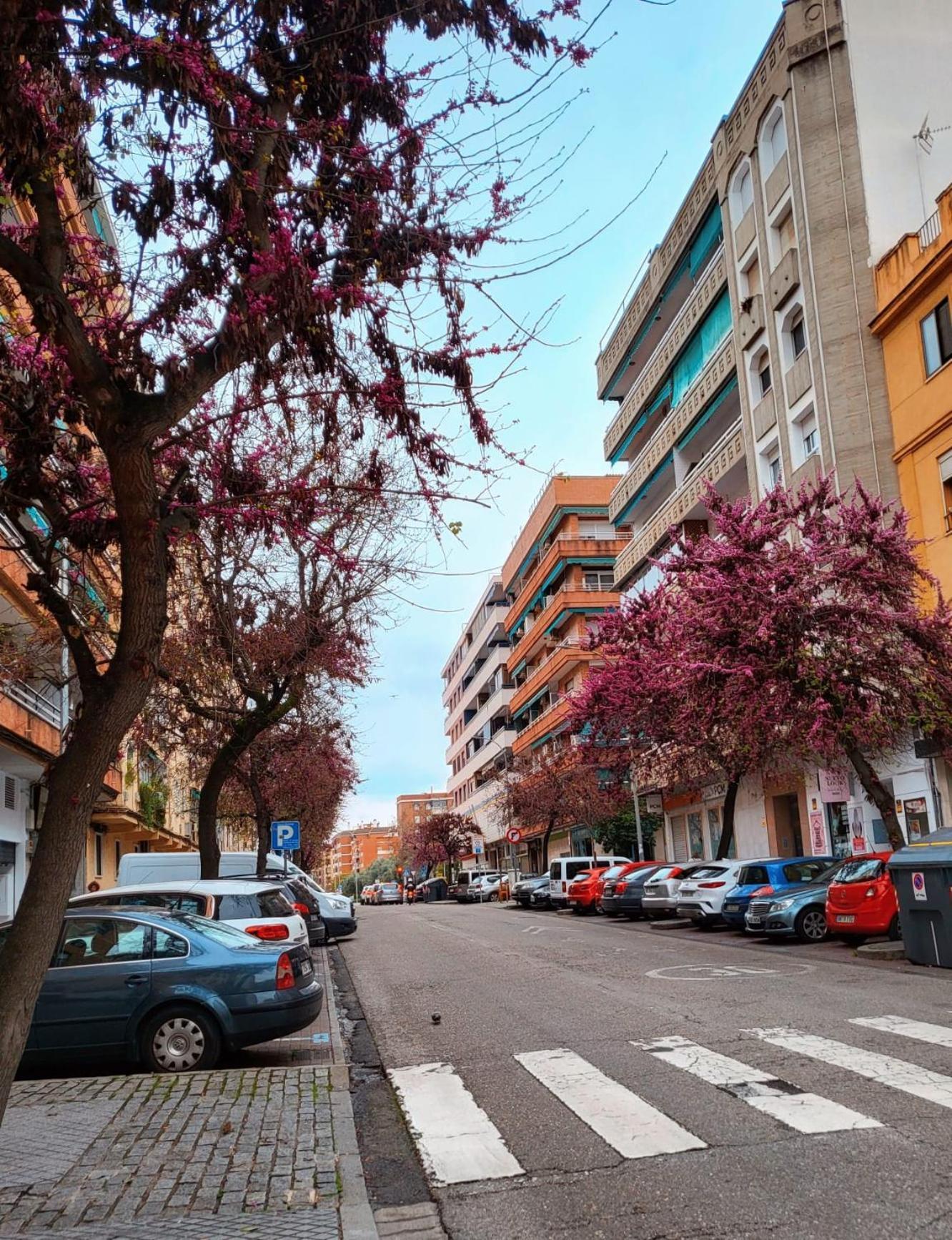 Vintage Apartment Cordoba Exterior photo